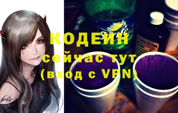 ПСИЛОЦИБИНОВЫЕ ГРИБЫ Арсеньев