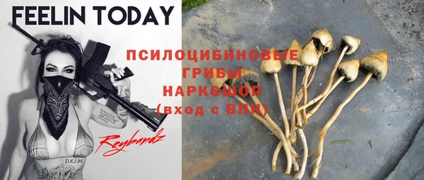 эйфоретик Няндома