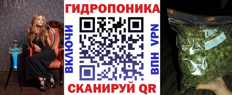 Бошки Шишки марихуана где купить наркоту Солнечногорск